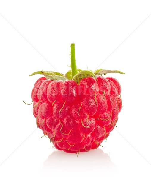 Stock photo: Ripe juicy organic raspberry macro