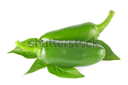 Pair of fresh organic jalapeno chili pepper with green leaves. Stock photo © brulove
