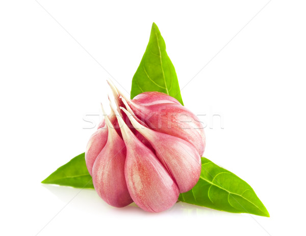 Stock photo: Organic garlic withfresh leaf of basil