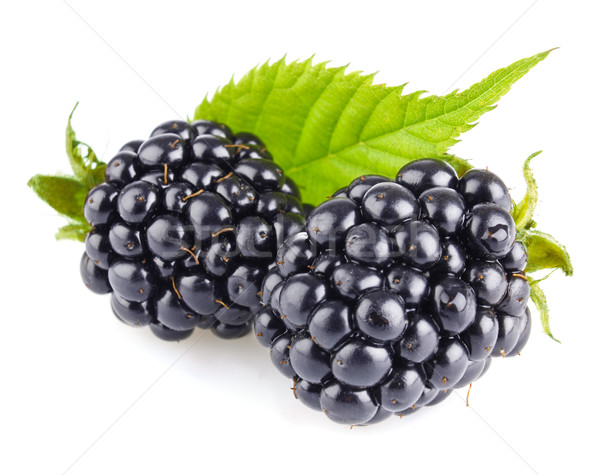 ripe blackberry with green leaves Stock photo © brulove