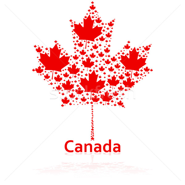 Canadian maple leaf Stock photo © bruno1998