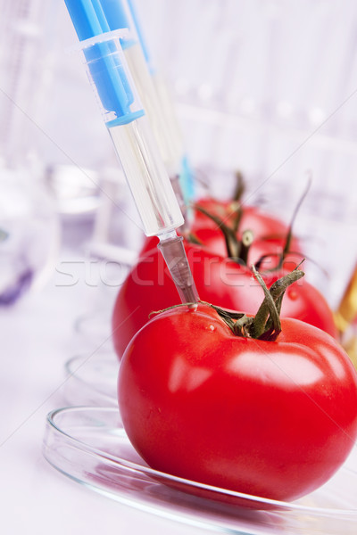 Genetic cercetare fructe alimente natură medicină Imagine de stoc © BrunoWeltmann