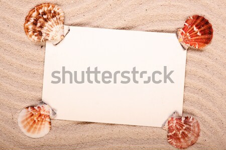 Say hello! Beach and message concept Stock photo © BrunoWeltmann