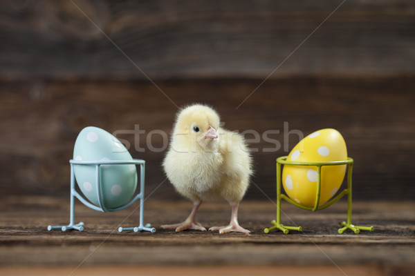 Young chicken and two eggs on wooden background Stock photo © BrunoWeltmann