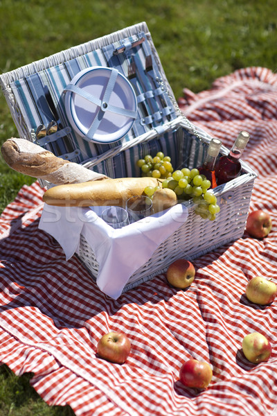 Picnic Time! Stock photo © BrunoWeltmann