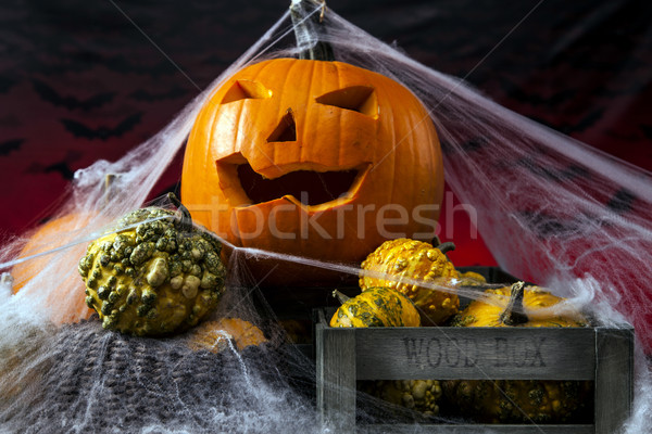 Scary halloween pumpkin Stock photo © BrunoWeltmann