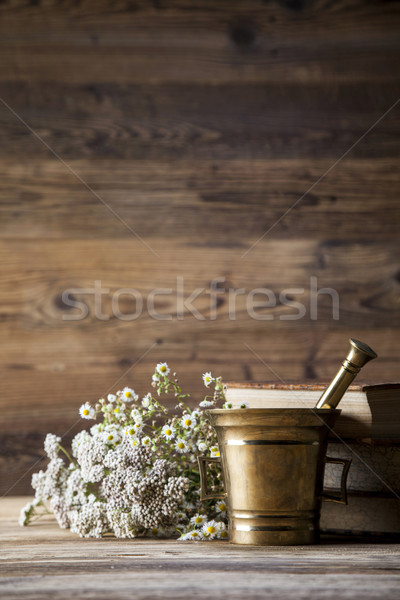 The ancient natural medicine, herbs and medicines Stock photo © BrunoWeltmann