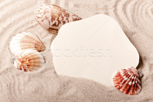 Say hello! Beach and message concept Stock photo © BrunoWeltmann