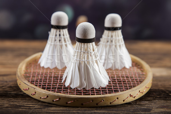 A set of badminton. Paddle and the shuttlecock. Stock photo © BrunoWeltmann