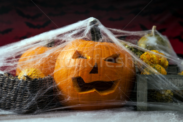 Scary halloween pumpkin Stock photo © BrunoWeltmann