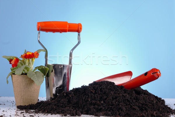 Gardening concept Stock photo © BrunoWeltmann