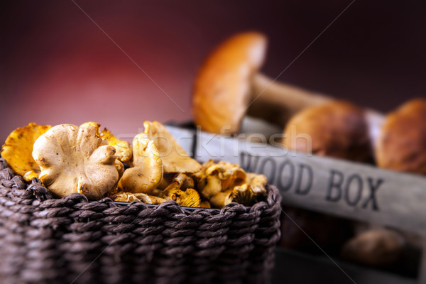 Stockfoto: Vers · champignons · vallen · voedsel · houten · tafel · bos