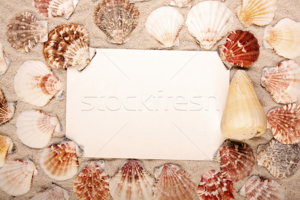 Hallo Strand Nachricht Papier Natur Design Stock foto © BrunoWeltmann