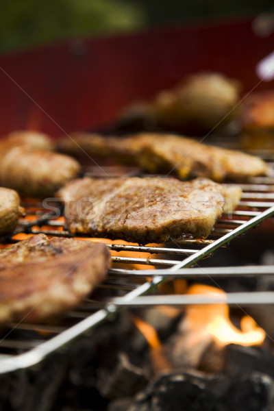 Stock fotó: Grill · idő · barbecue · kert · étel · buli