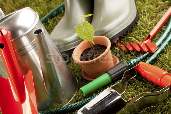 Gardening concept Stock photo © BrunoWeltmann