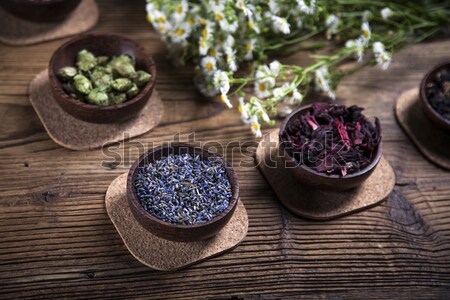 The ancient Chinese medicine Stock photo © BrunoWeltmann