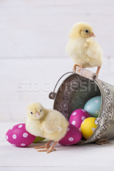 Easter chicken, eggs and decoration on white background Stock photo © BrunoWeltmann