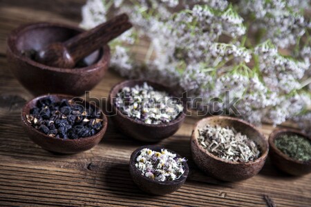 Foto stock: Antigo · medicina · chinesa · ervas · flor · madeira · médico
