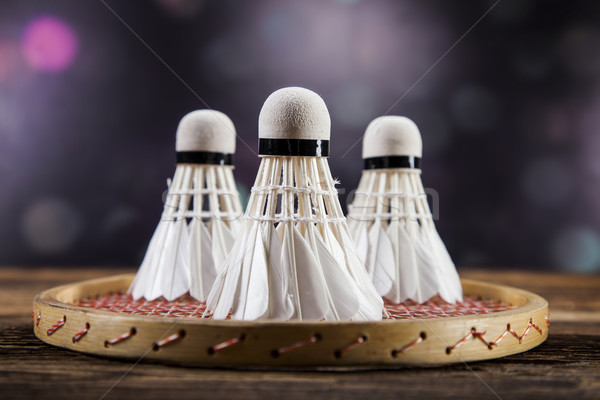 A set of badminton. Paddle and the shuttlecock. Stock photo © BrunoWeltmann