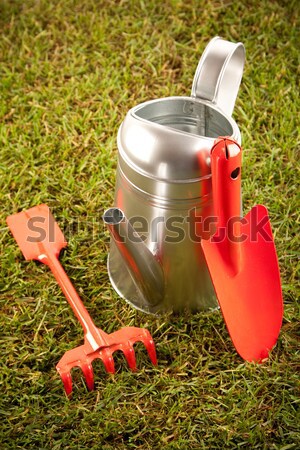 Gardening concept Stock photo © BrunoWeltmann