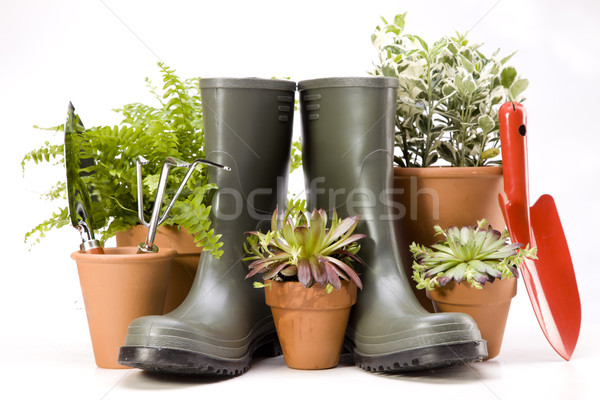 Fleurs jardin outils ciel fleur vert [[stock_photo]] © BrunoWeltmann