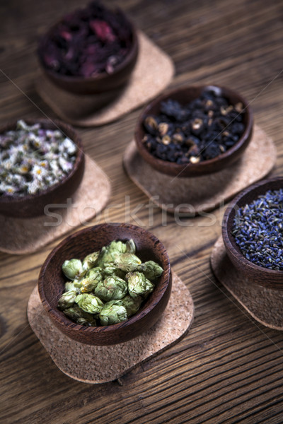 The ancient Chinese medicine Stock photo © BrunoWeltmann