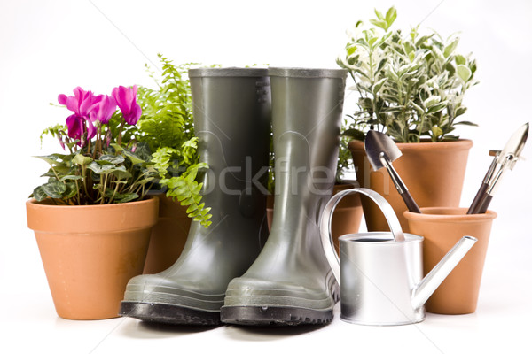 Fleurs jardin outils fleur herbe vie [[stock_photo]] © BrunoWeltmann