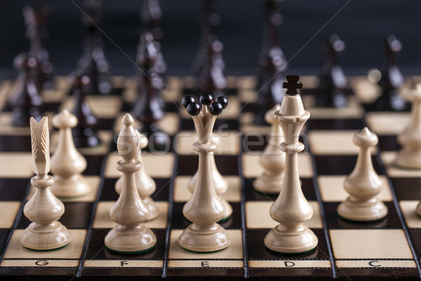 Chess pieces showing competition in business and sport Stock photo © BrunoWeltmann