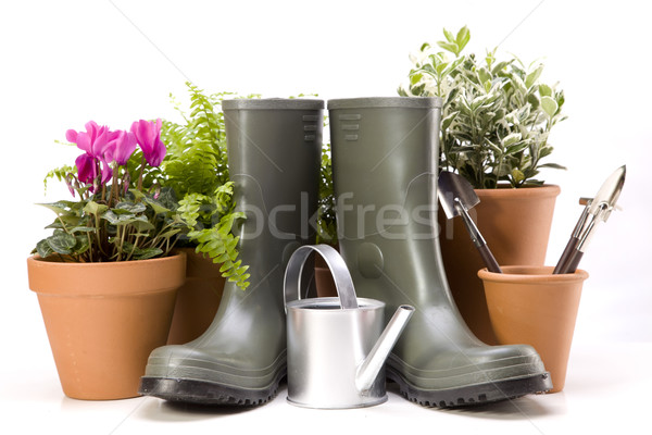 [[stock_photo]]: Fleurs · jardin · outils · ciel · fleur · herbe