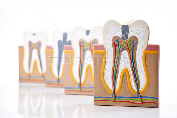 Attrezzature dentali denti care controllo studio ufficio Foto d'archivio © BrunoWeltmann