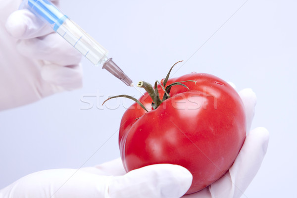 Genético pesquisa frutas natureza fruto medicina Foto stock © BrunoWeltmann