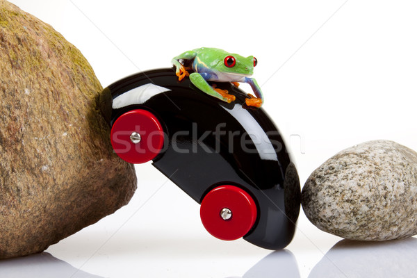 Green Frog in concepts Stock photo © BrunoWeltmann