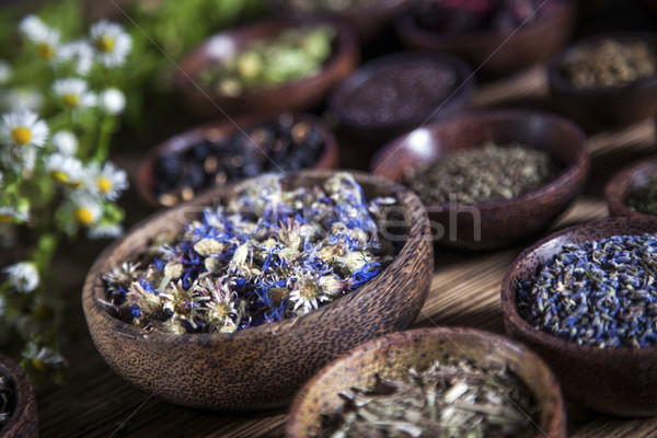 Foto stock: Antigua · medicina · china · hierbas · flor · madera · médicos