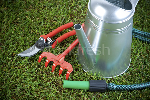 Gardening concept Stock photo © BrunoWeltmann