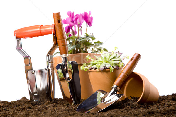 Fleurs jardin outils ciel fleur herbe [[stock_photo]] © BrunoWeltmann