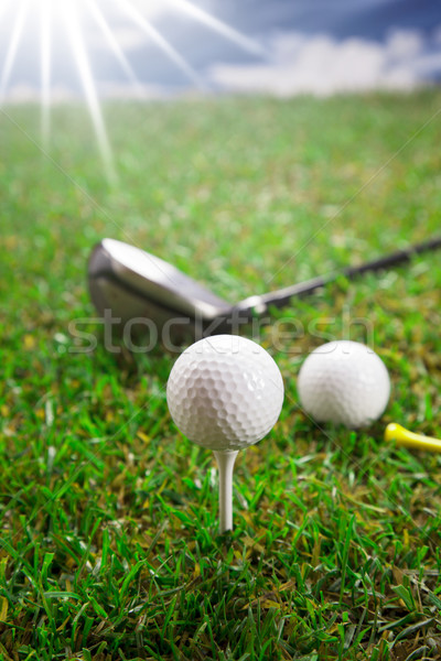 Joacă golf minge de golf iarba verde iarbă Imagine de stoc © BrunoWeltmann