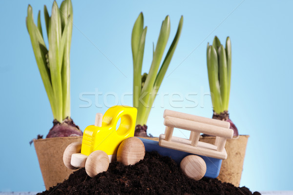 Gardening concept Stock photo © BrunoWeltmann