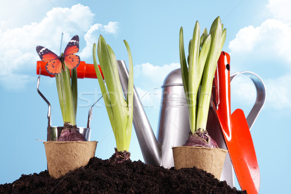 Gardening concept Stock photo © BrunoWeltmann