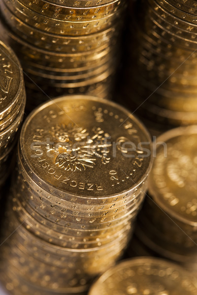 Pénz érmék izolált fehér üzlet bank Stock fotó © BrunoWeltmann