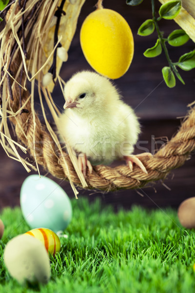 Easter chicken, eggs and decorations Stock photo © BrunoWeltmann