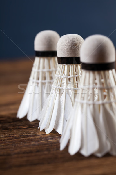 A set of badminton. Paddle and the shuttlecock. Stock photo © BrunoWeltmann
