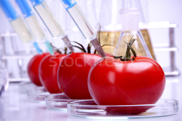 Genetic cercetare fructe natură fruct medicină Imagine de stoc © BrunoWeltmann