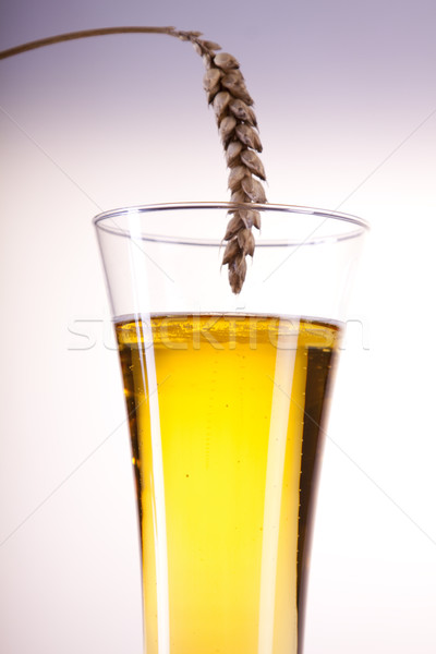 [[stock_photo]]: Bière · blanche · lumière · bar · or · pub