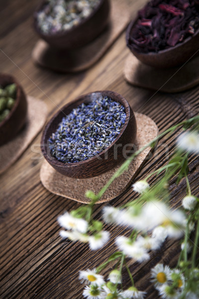 The ancient Chinese medicine Stock photo © BrunoWeltmann