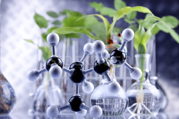 Planten laboratorium genetisch wetenschap medische technologie Stockfoto © BrunoWeltmann