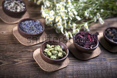 The ancient Chinese medicine Stock photo © BrunoWeltmann