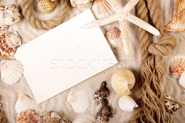 Hallo Strand Nachricht Papier Natur Design Stock foto © BrunoWeltmann