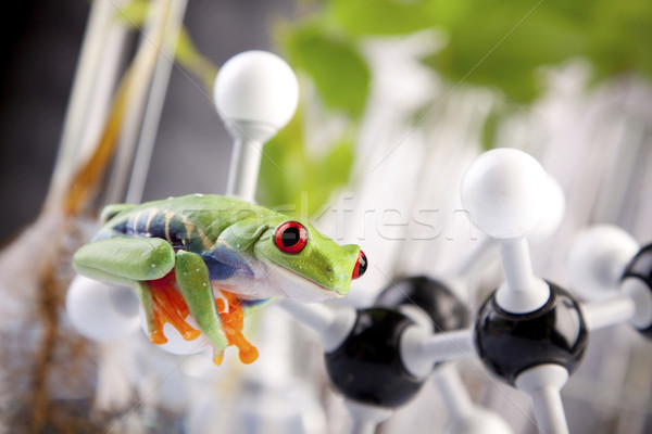 саженцы лаборатория растений природы стекла фон Сток-фото © BrunoWeltmann