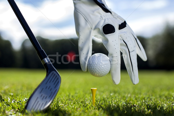 Stockfoto: Ingesteld · golfbal · meisje · glimlach · sport