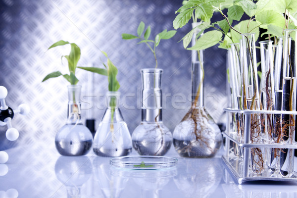 Foto stock: Plantas · laboratório · genético · ciência · médico · natureza